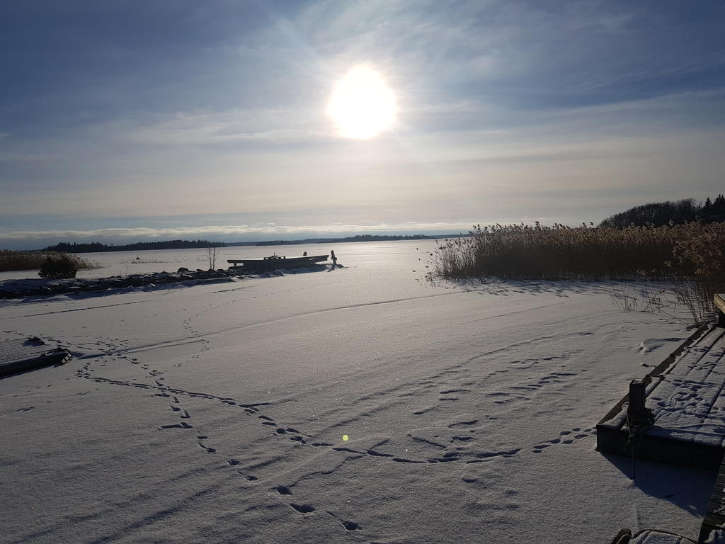 Säljares bild