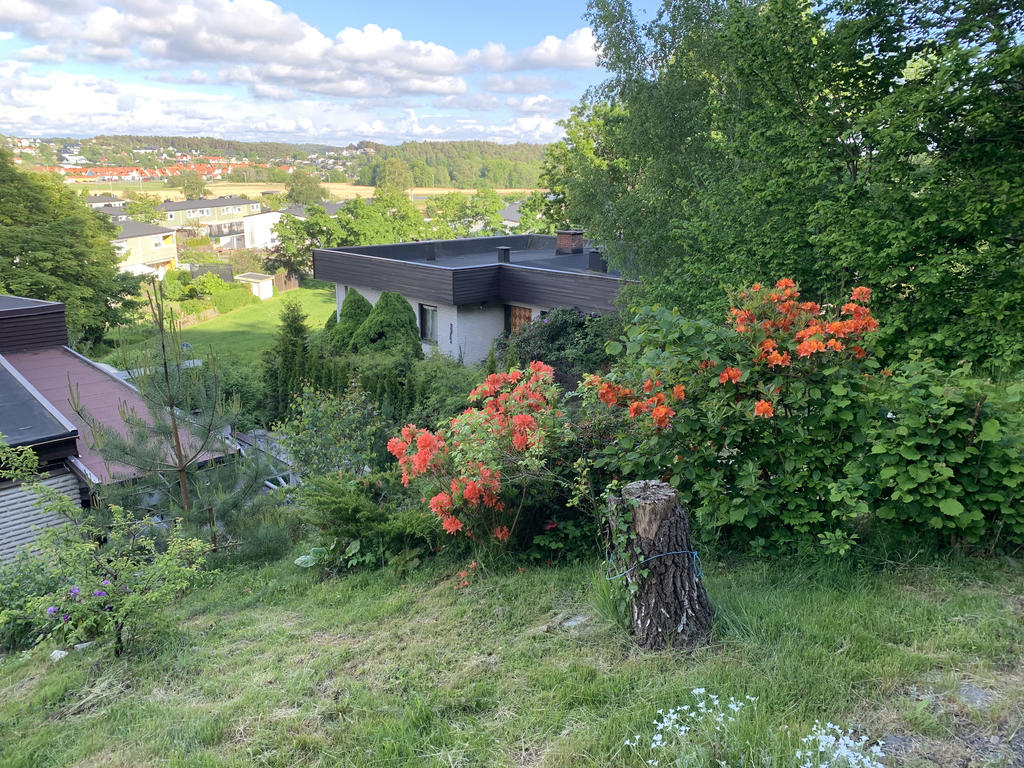 Sommarbild med utsikt från trädgården, säljarens bild