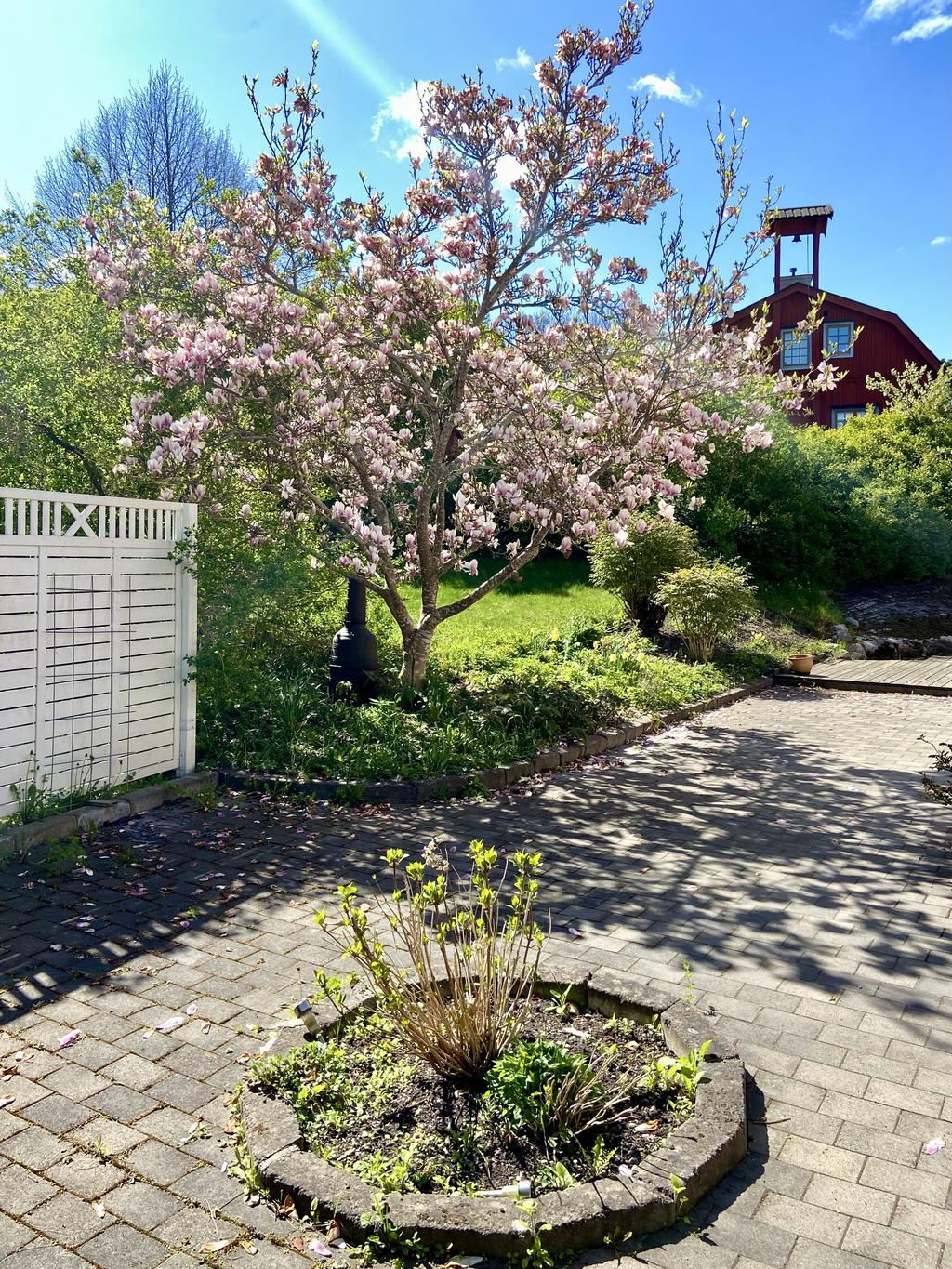 Stensatt gårdsplan i söder
