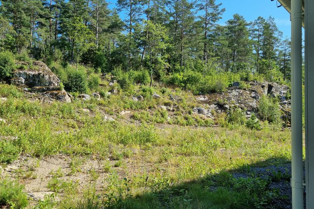Trädgårdens baksida med vackra berg i sluttningen