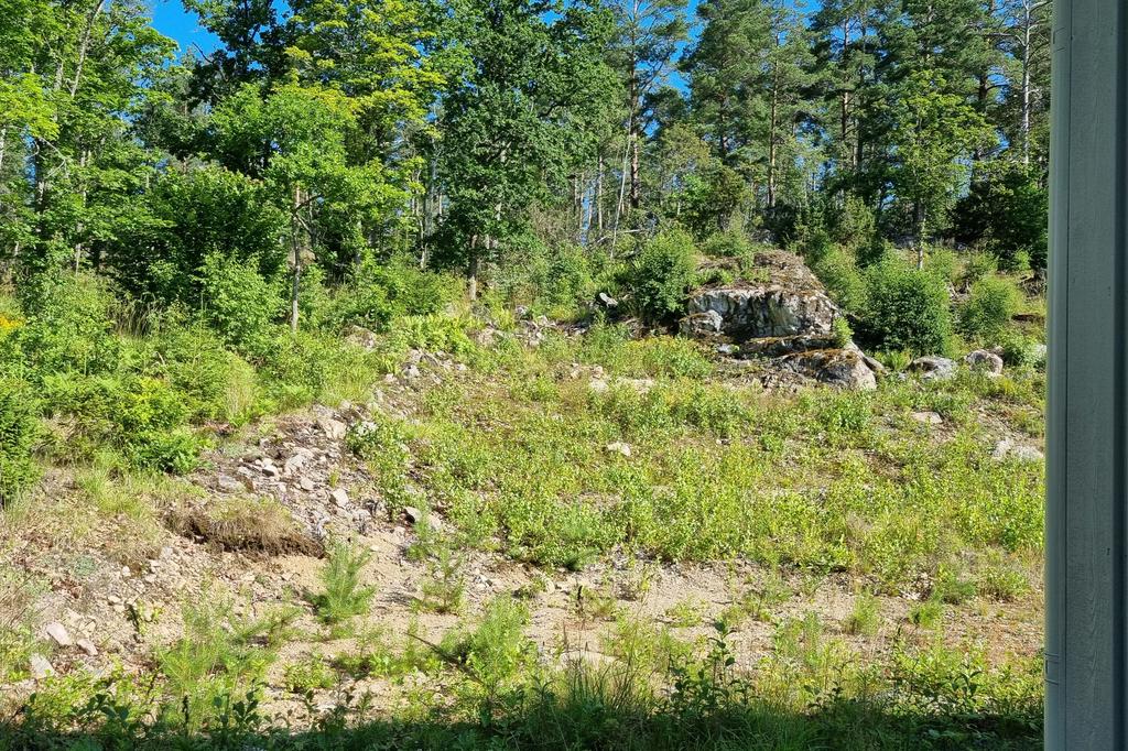 Trädgårdens baksida, en stor plan del och en sluttning i bakkant