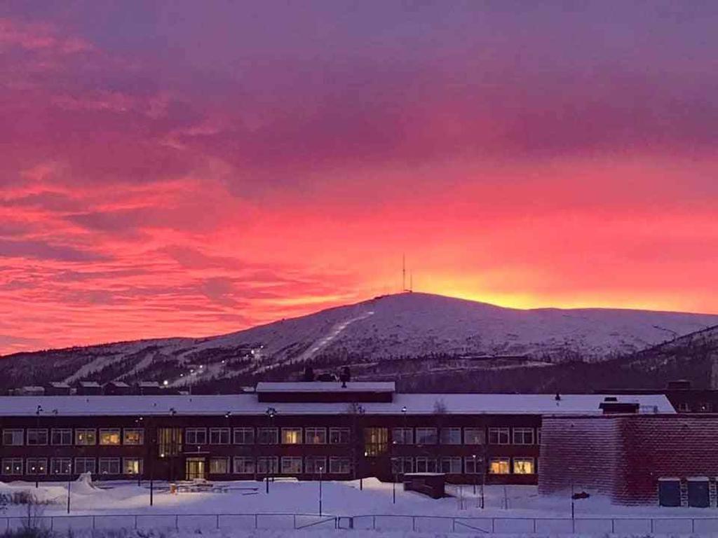 Säljarens egna bild