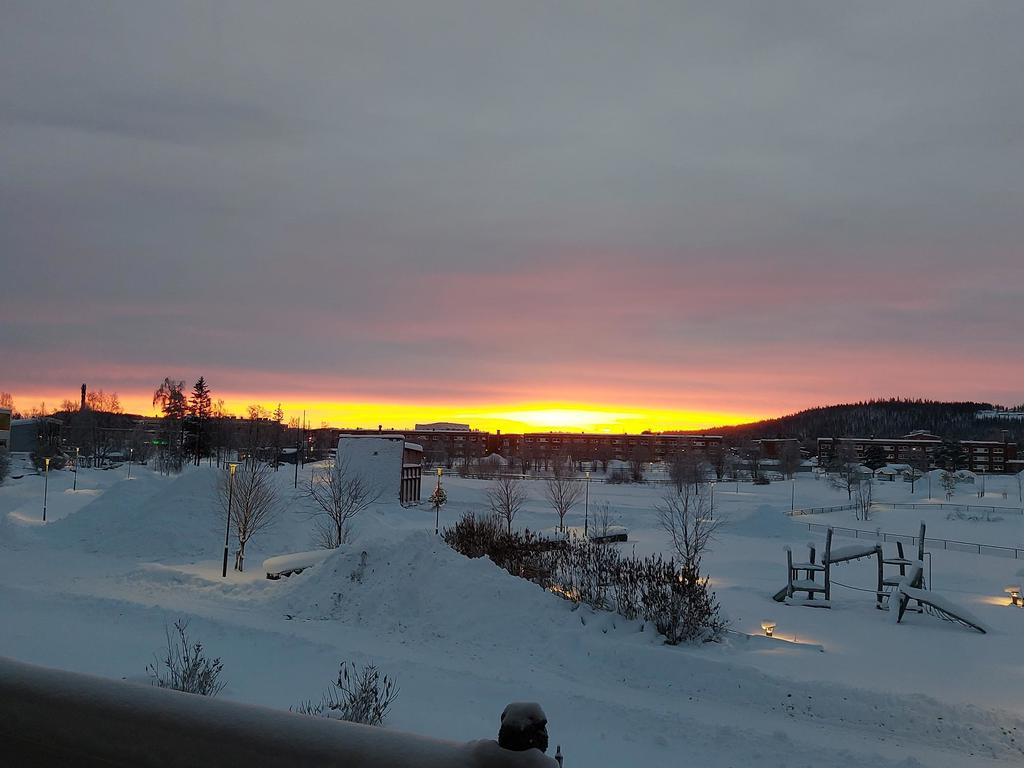 Säljarens egna bild