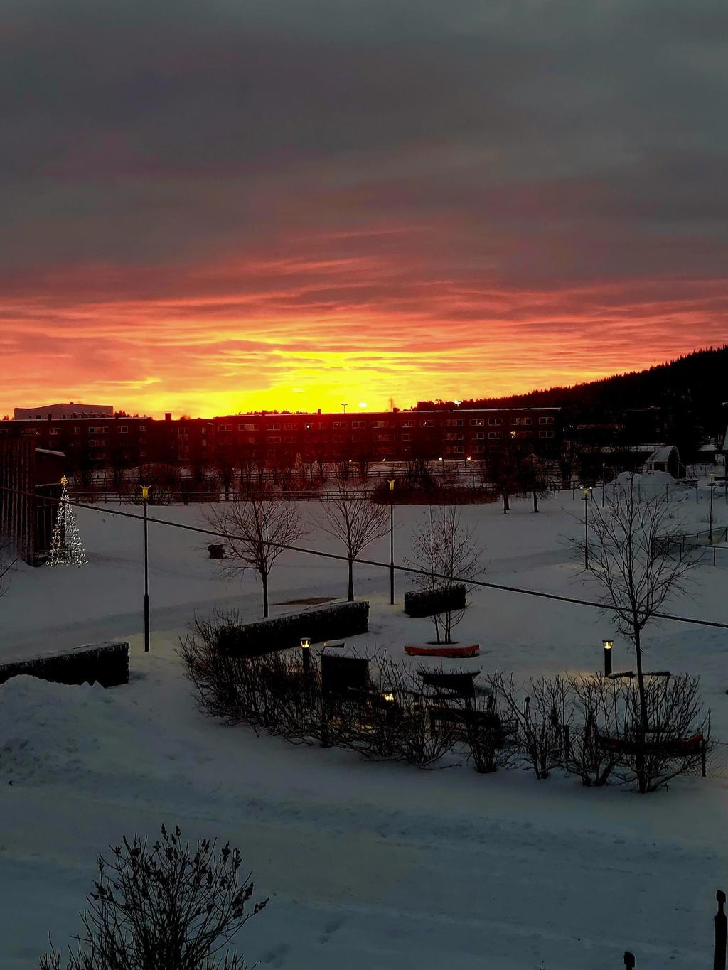 Säljarens egna bild