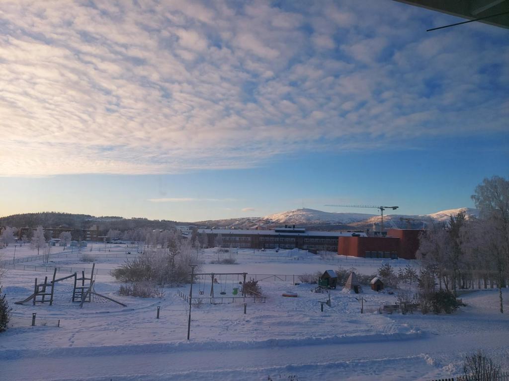 Säljarens egna bild
