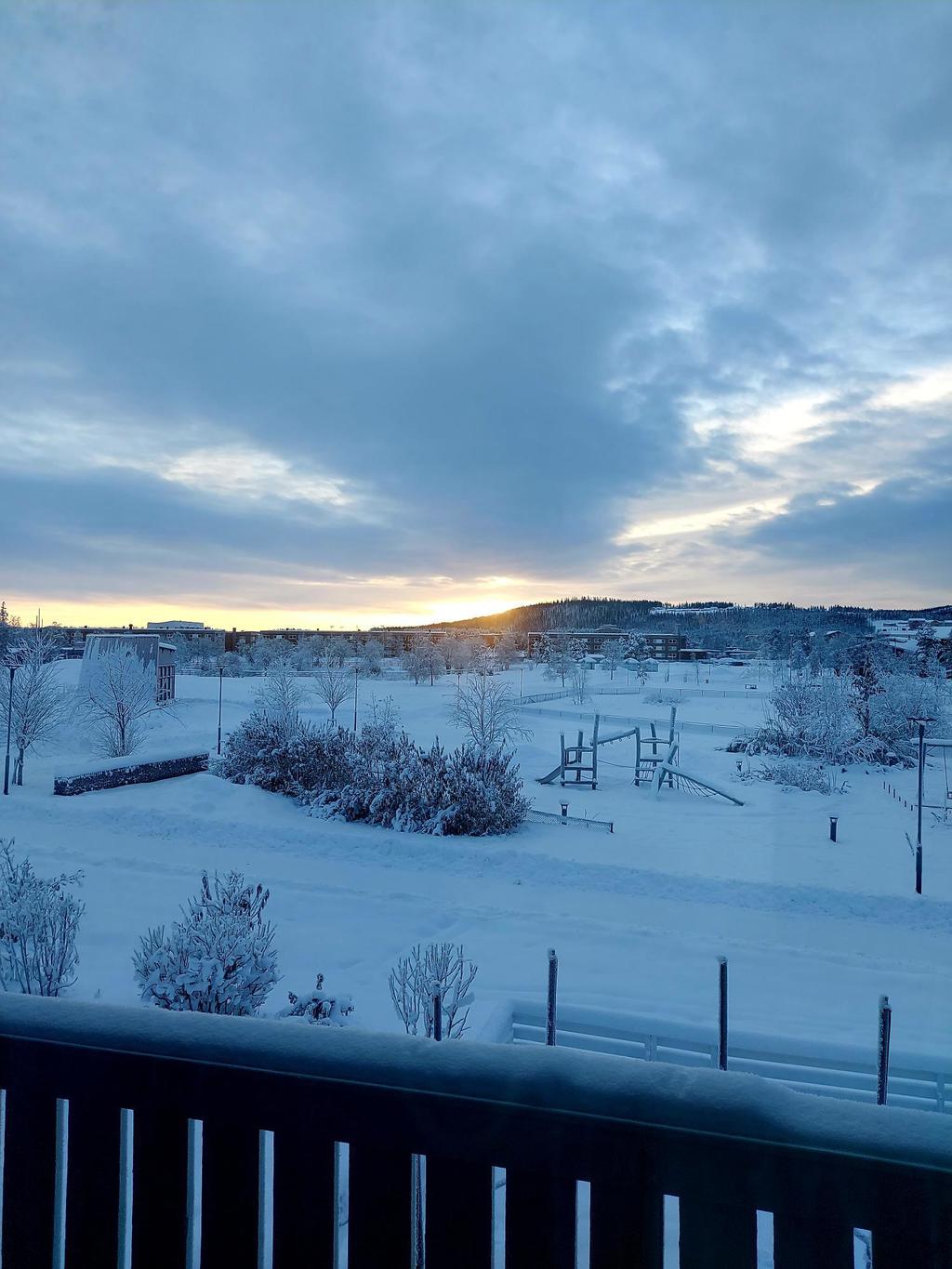 Säljarens egna bild