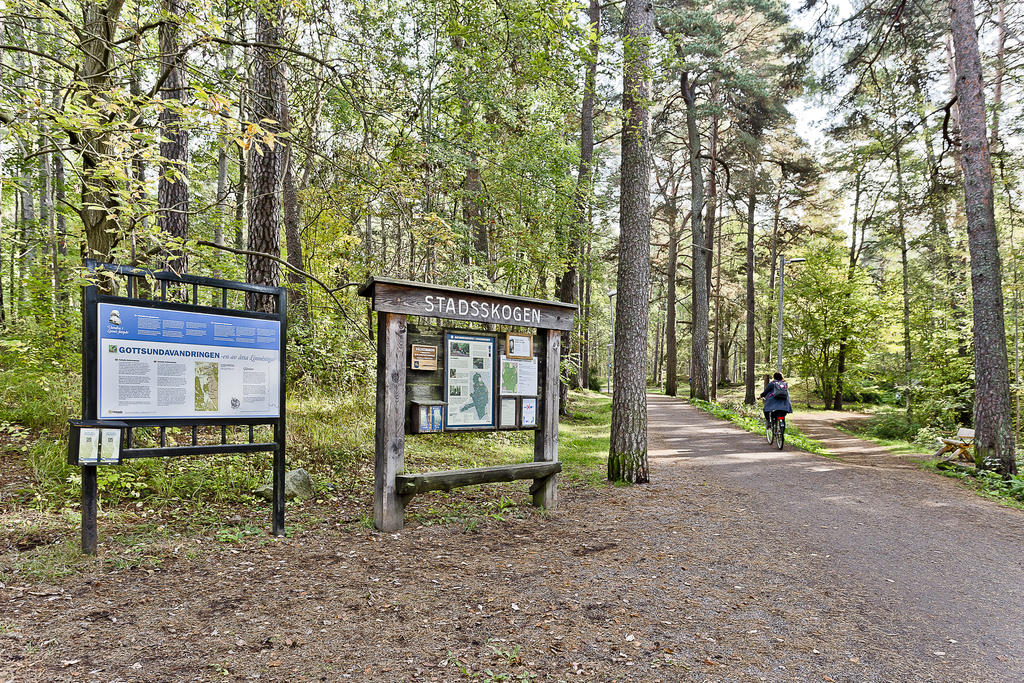 Stadsskogen i direkt närhet.