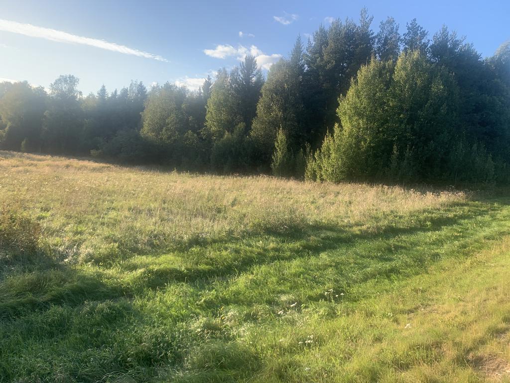 Säljarens bild. Del av marken som tillhör fastigheten belägen på andra sidan riksvägen. 