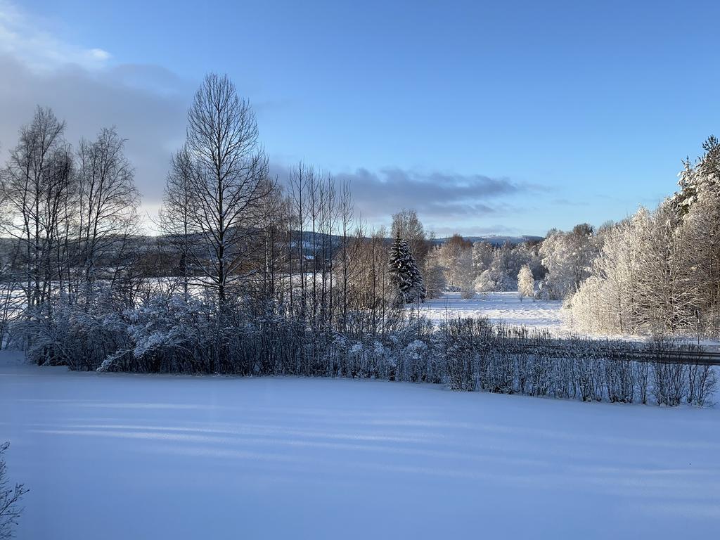 Vinterbild mot mark som tillhör fastigheten på andra sidan riksvägen. 