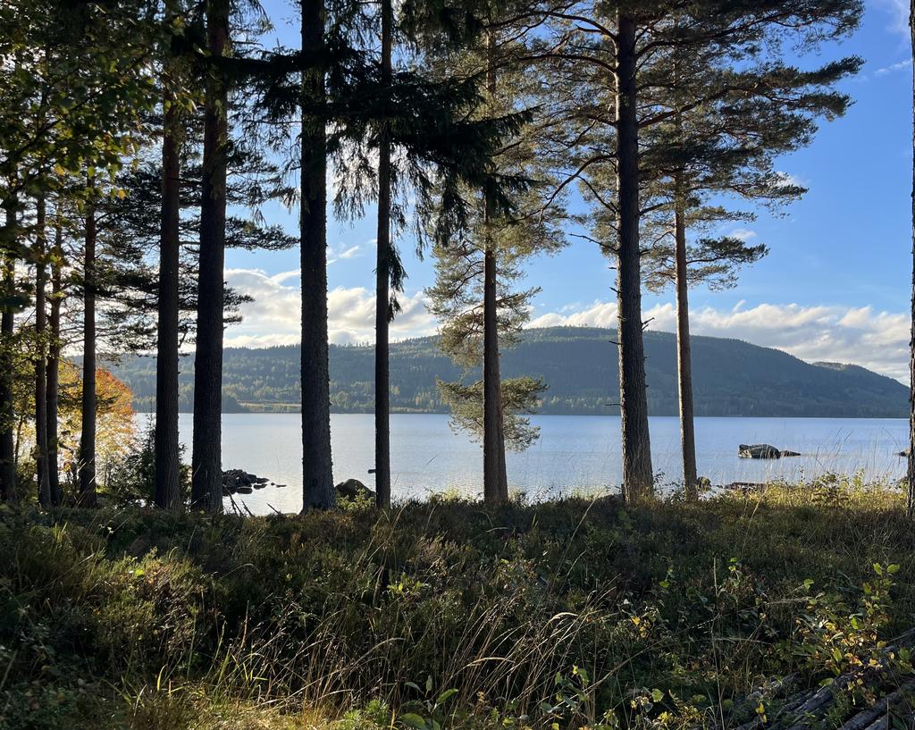 Säljarens bild från en plats i Vallsta, utöver Ljusnan med dess blånande berg i bakgrunden. 