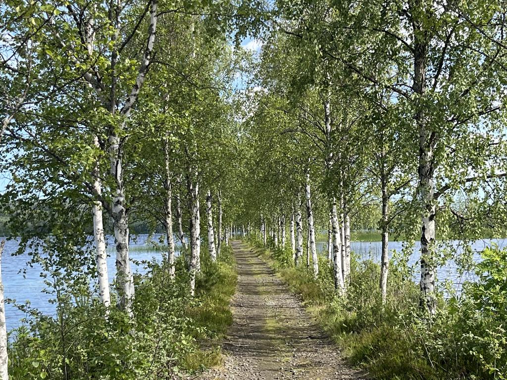 Del av Älvstigen. Fotad av säljaren. 