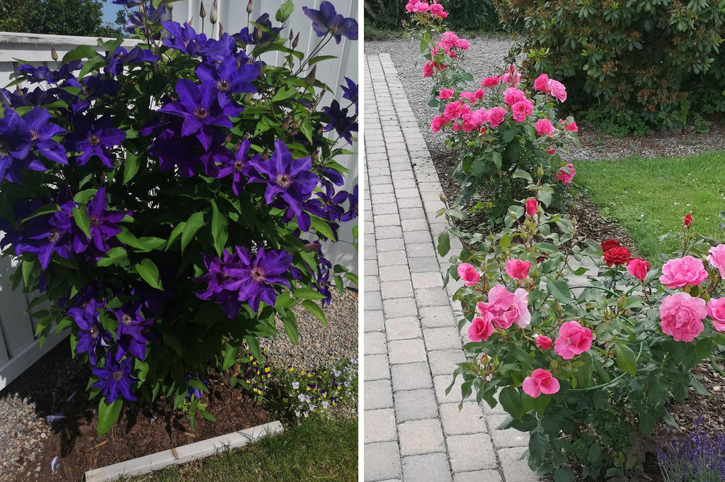 Säljarens sommarbild