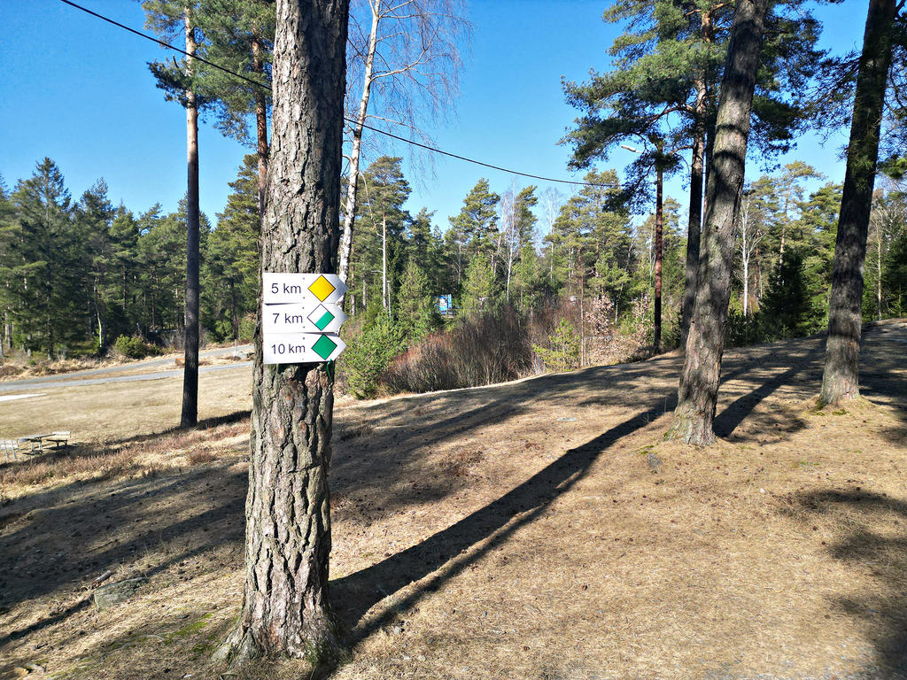 Fina promenadslingor i området!