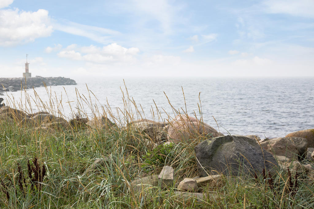 Glommens hamn