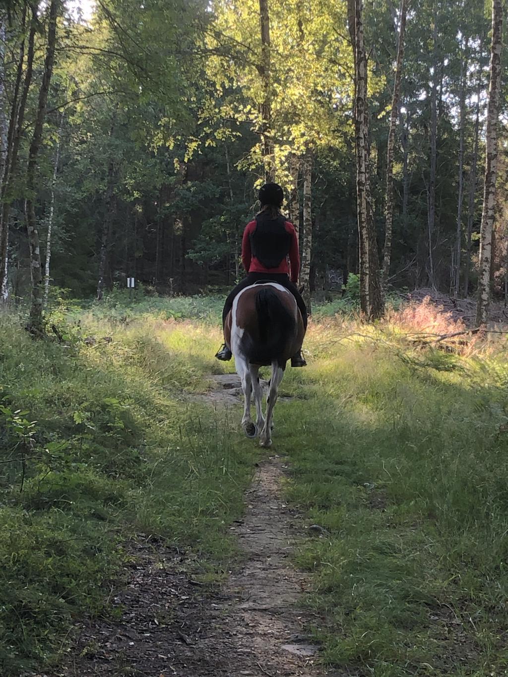 Säljarens egna bild