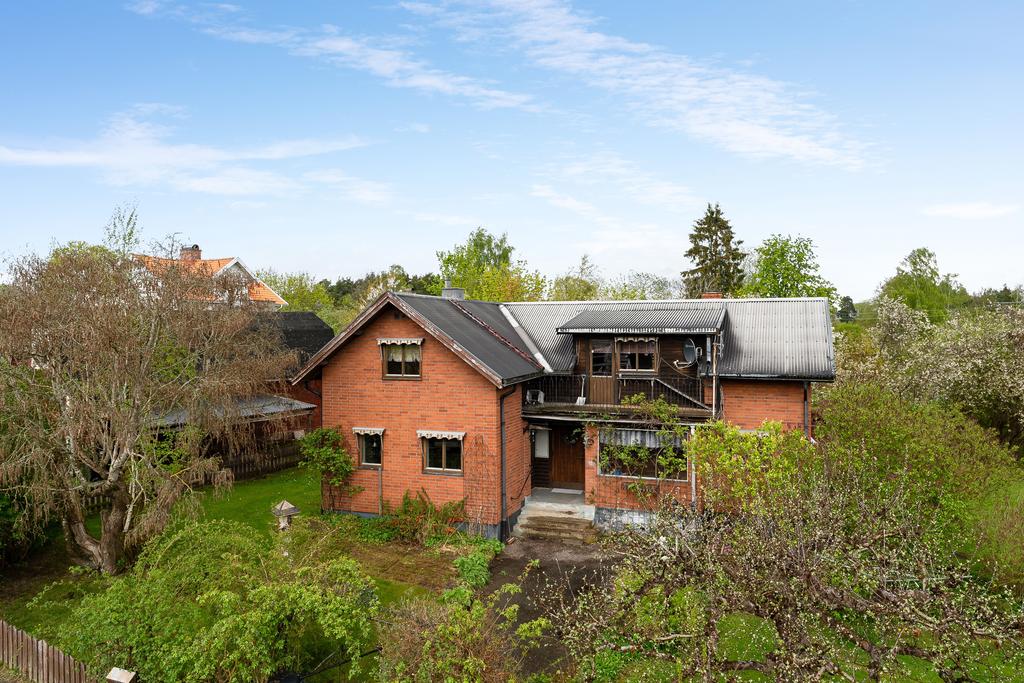 Grönskande och uppväxt trädgård