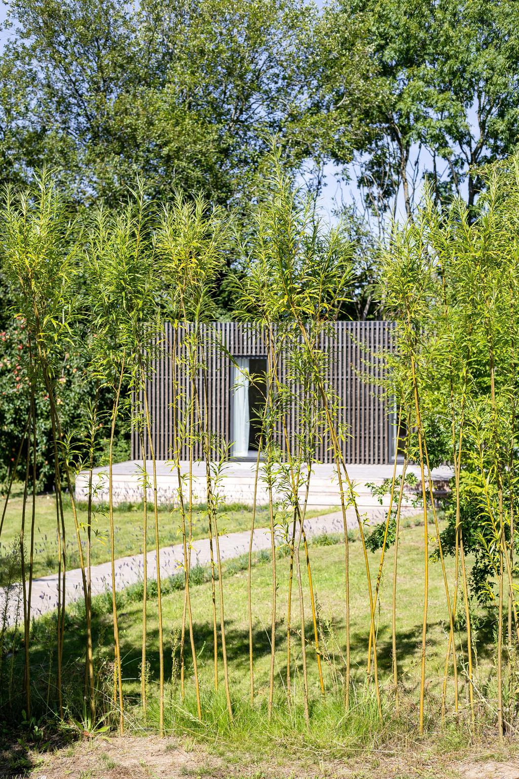 Spännande arkitektur och natur tillsammans! 