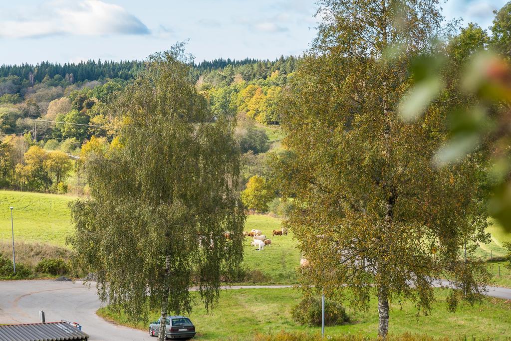 Utsikt från balkongen
