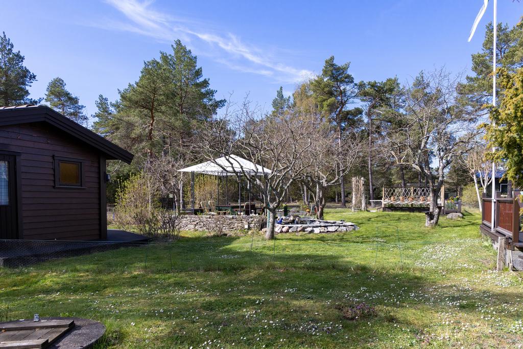 Trädgård
