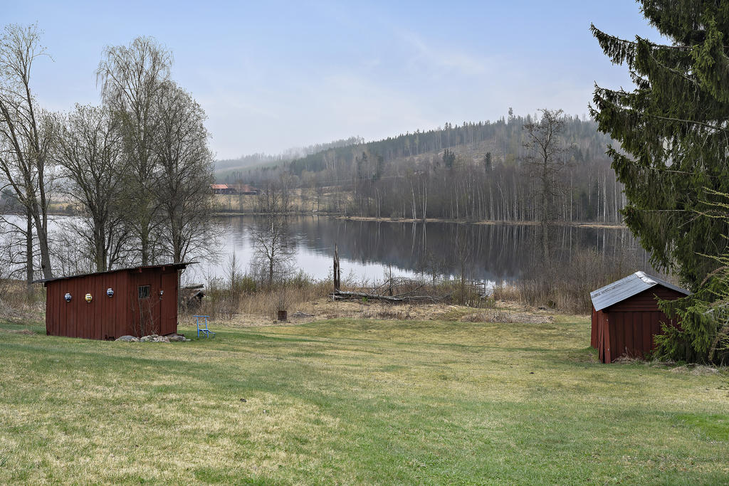 Trädgård
