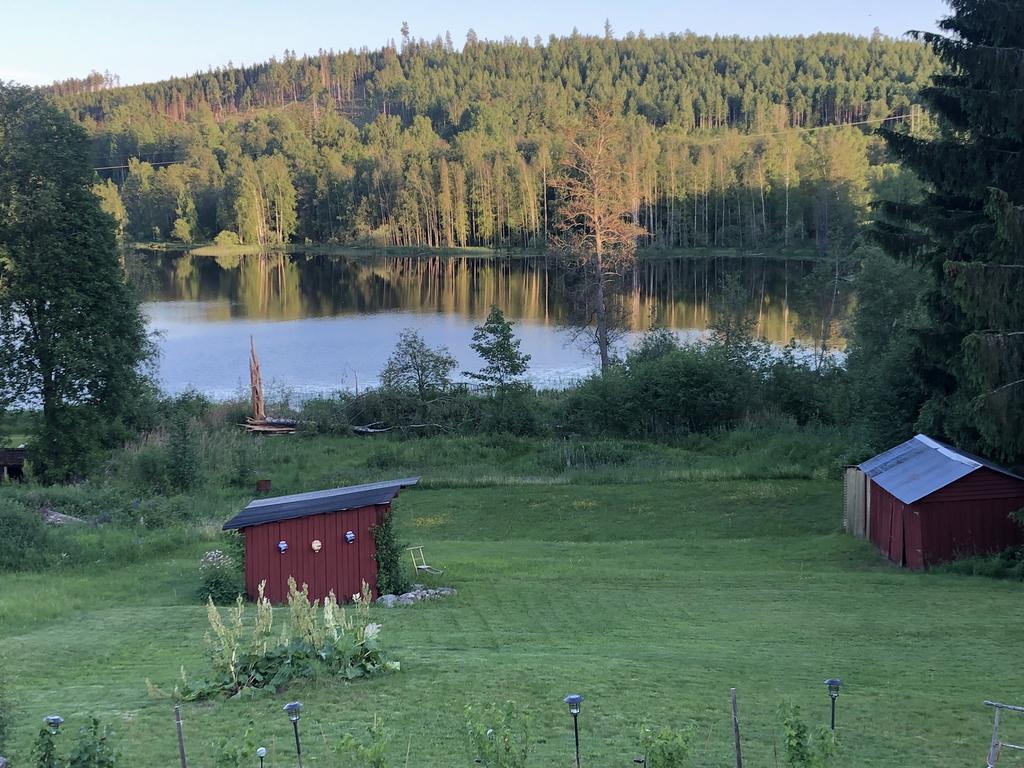 Trädgård