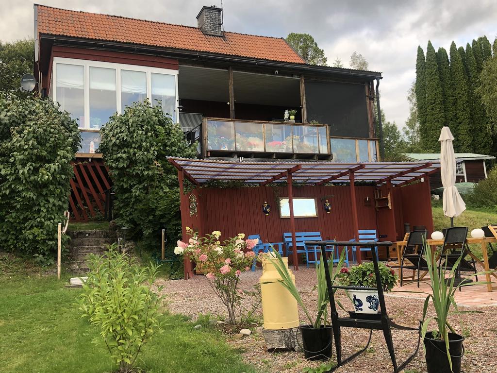 Trädgård