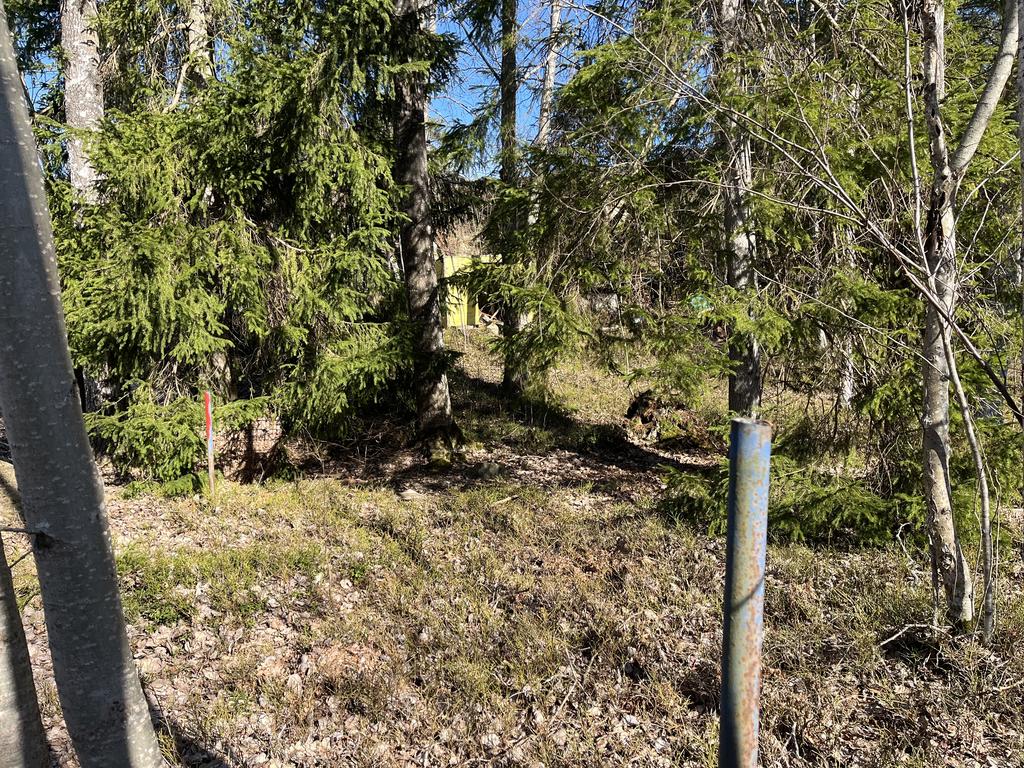 Vy mot norr från tomtens västra hörna