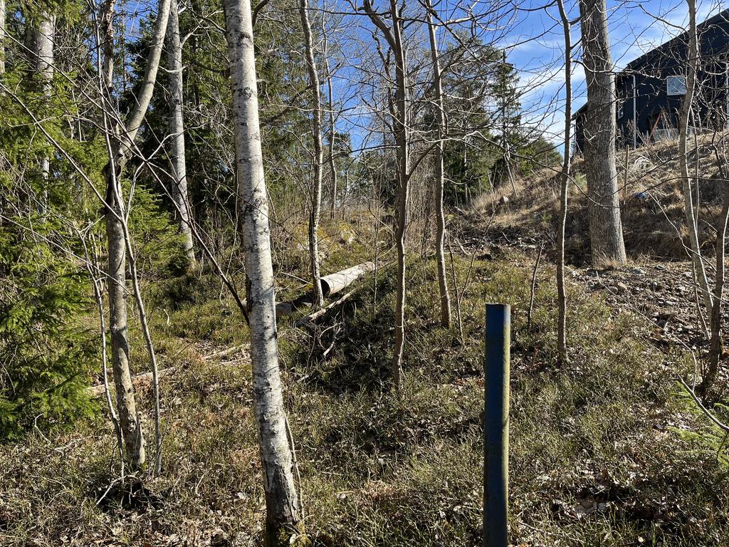 Vy från tomtens västra hörna