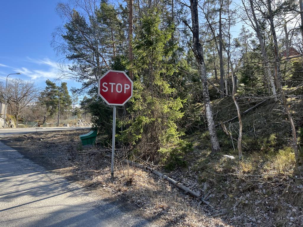 Möjlig infart upp på tomten
