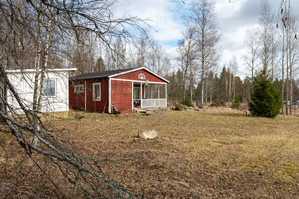 Trädgård