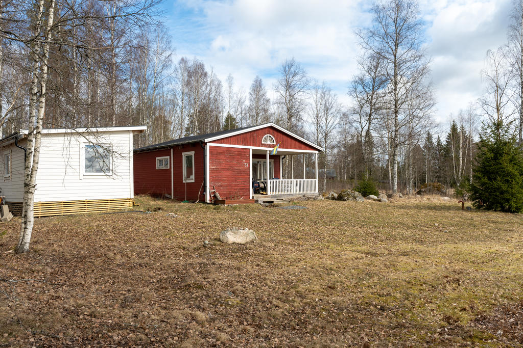 Trädgård