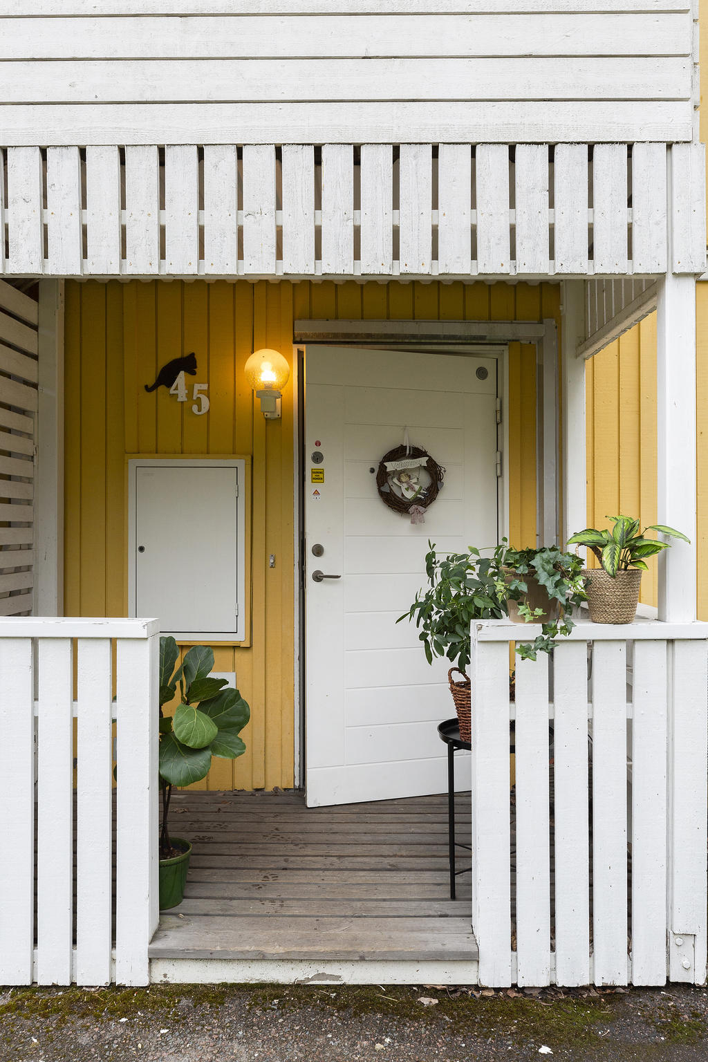Välkommen till Svampvägen 45