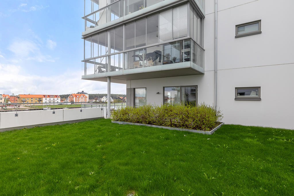 Bild från föreningens innergård