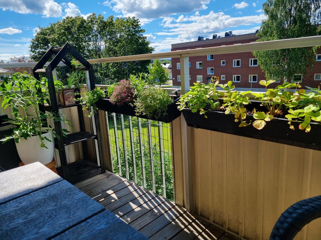 Säljarens egna bild