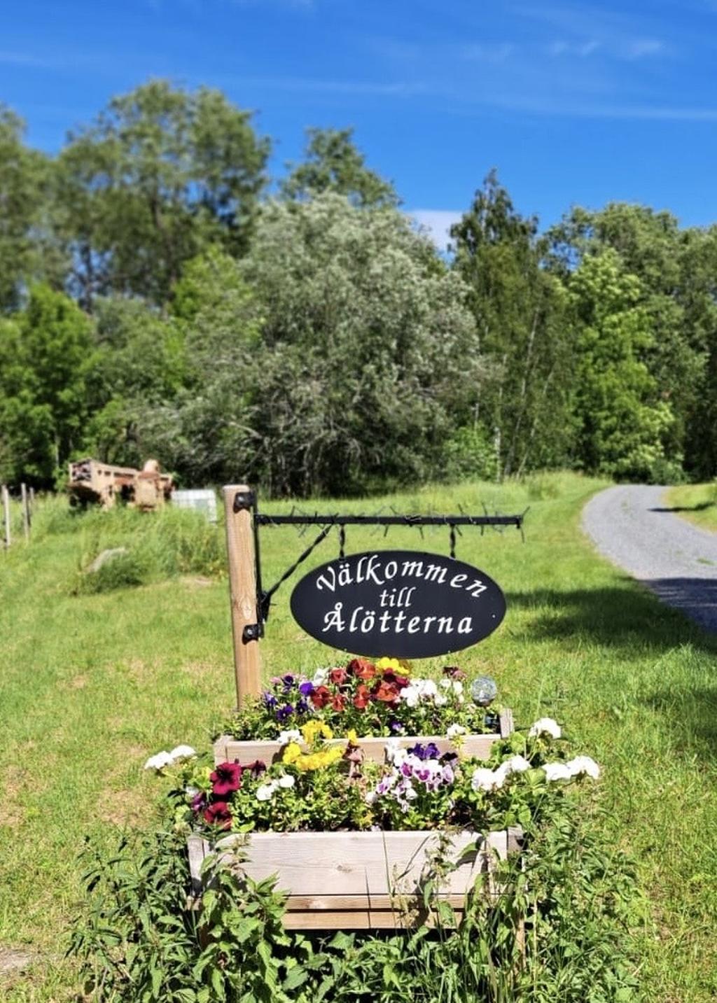 Säljarens egna bild