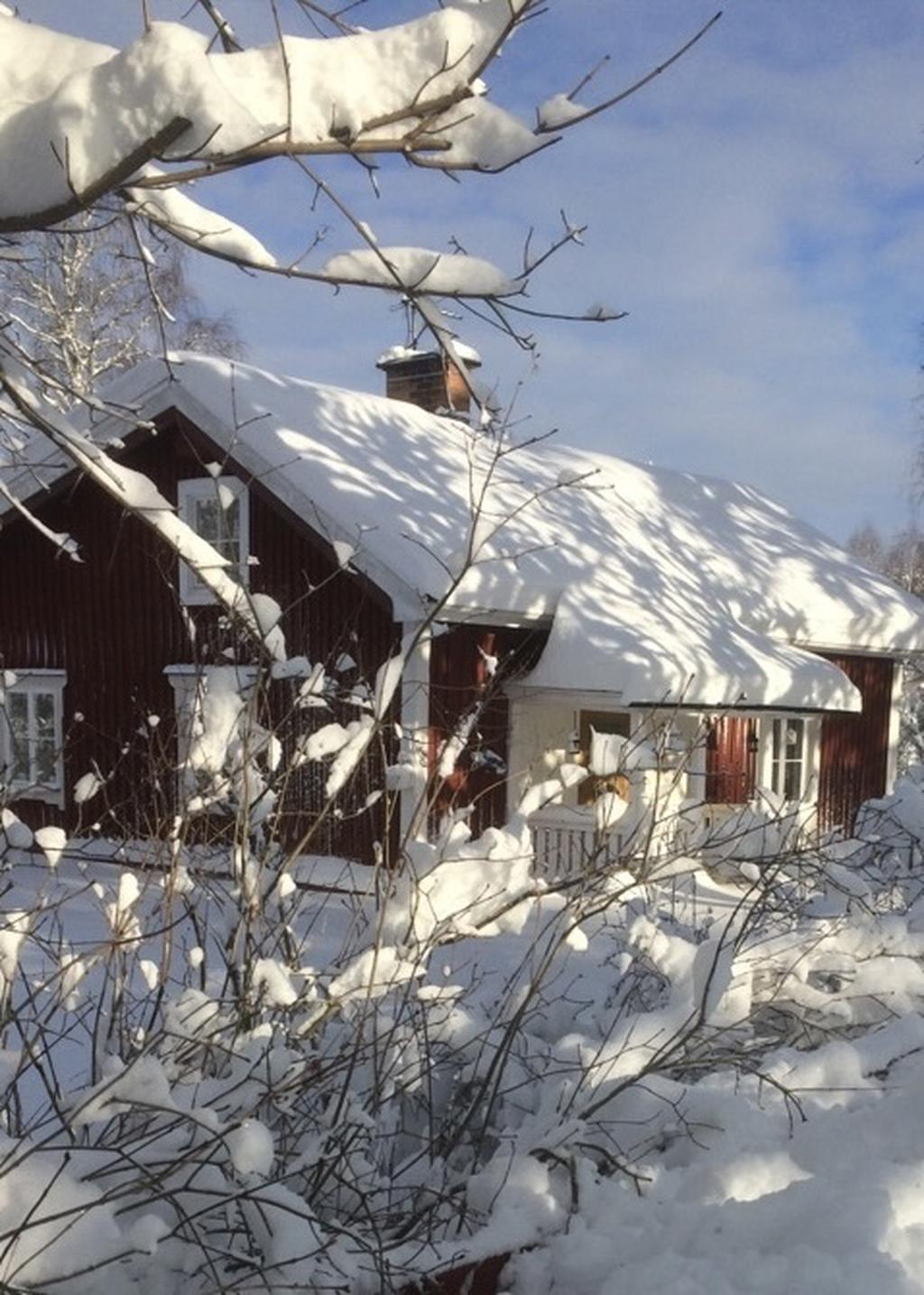 Säljarens egna bild