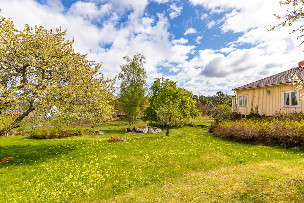 Här finns mängder med blommor och grönska