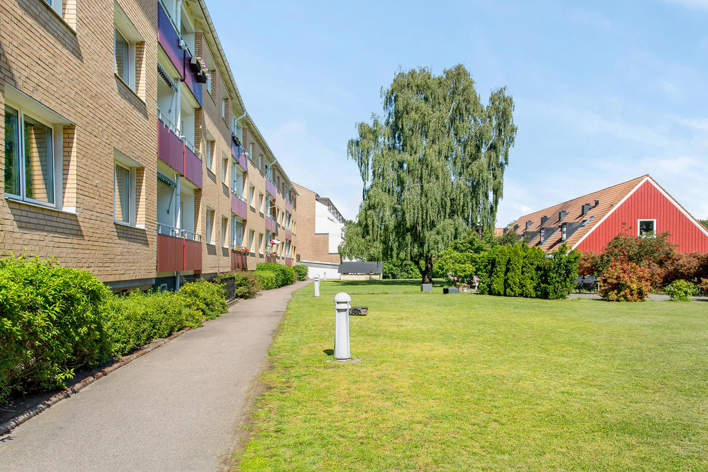 Gröna ytor "bakom" huset