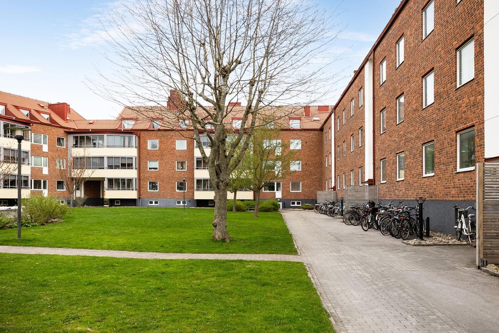 Välskött innergård