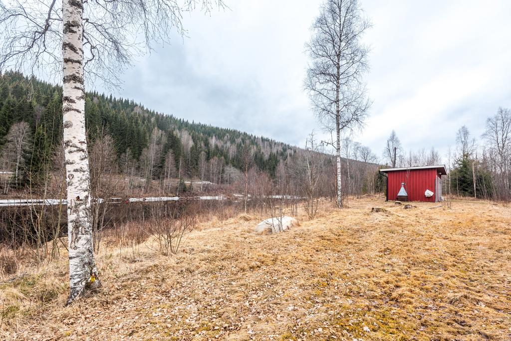 Exteriör