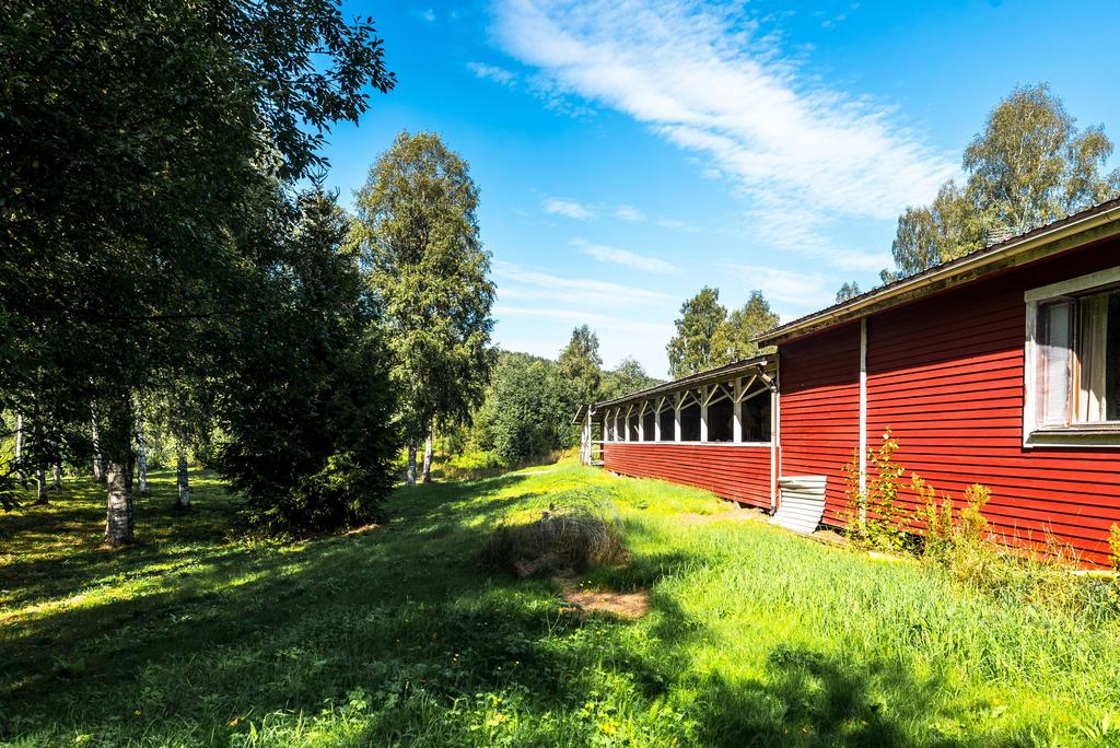 Exteriör