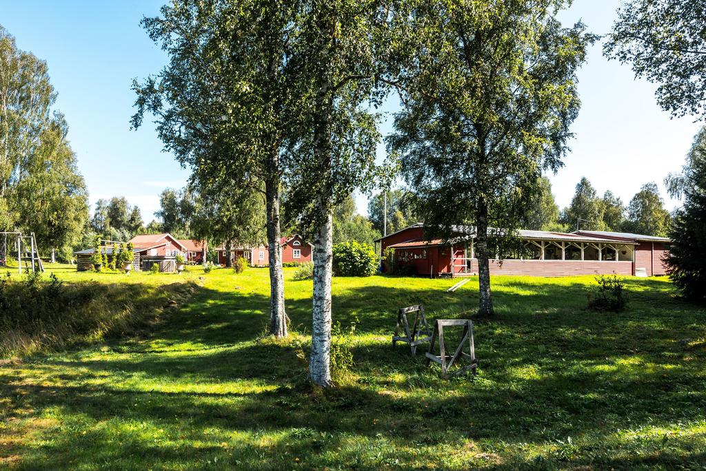 Exteriör