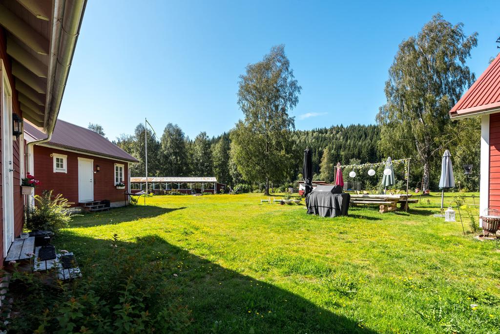 Exteriör