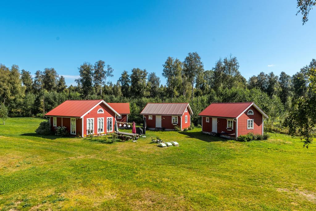 Exteriör