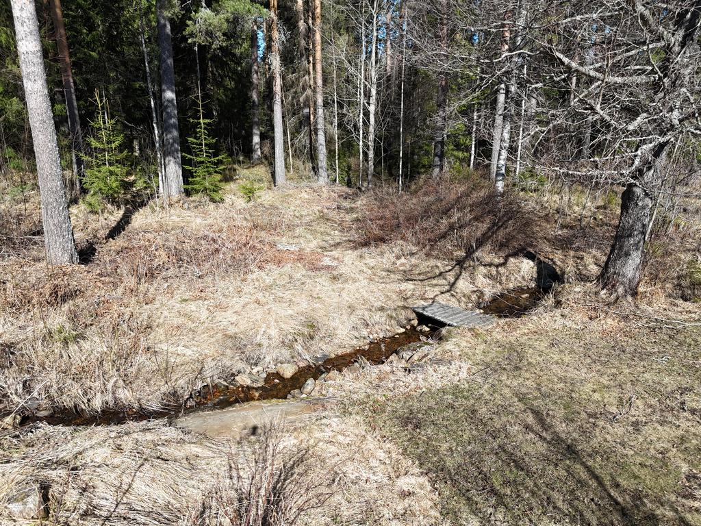 Från baksidan hör och ser du en liten porlande bäck med en liten bro som leder dig in i skogen. 
