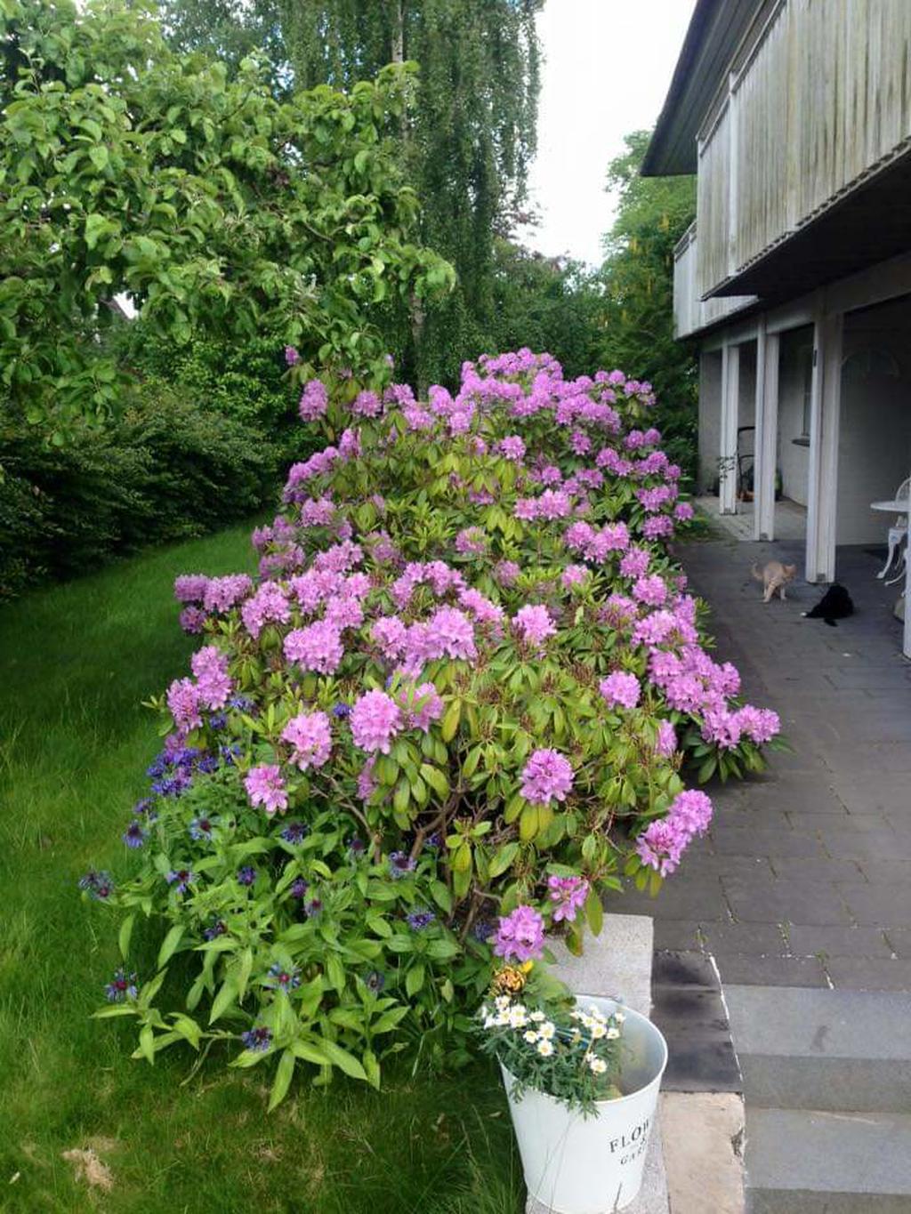Säljarens privata bild 