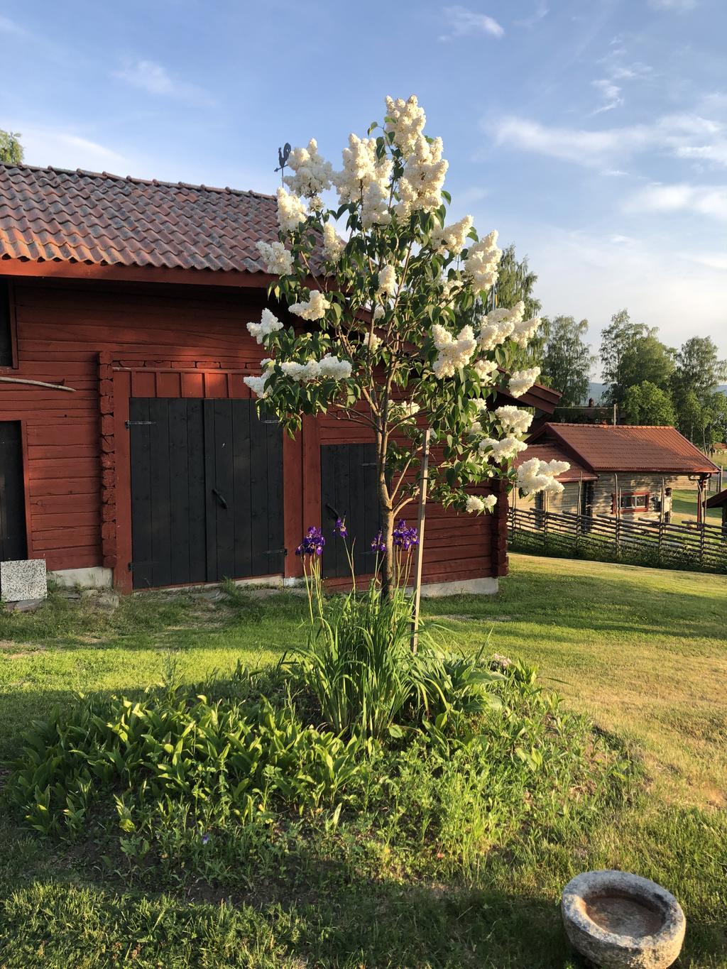 Säljarens egna bilder.