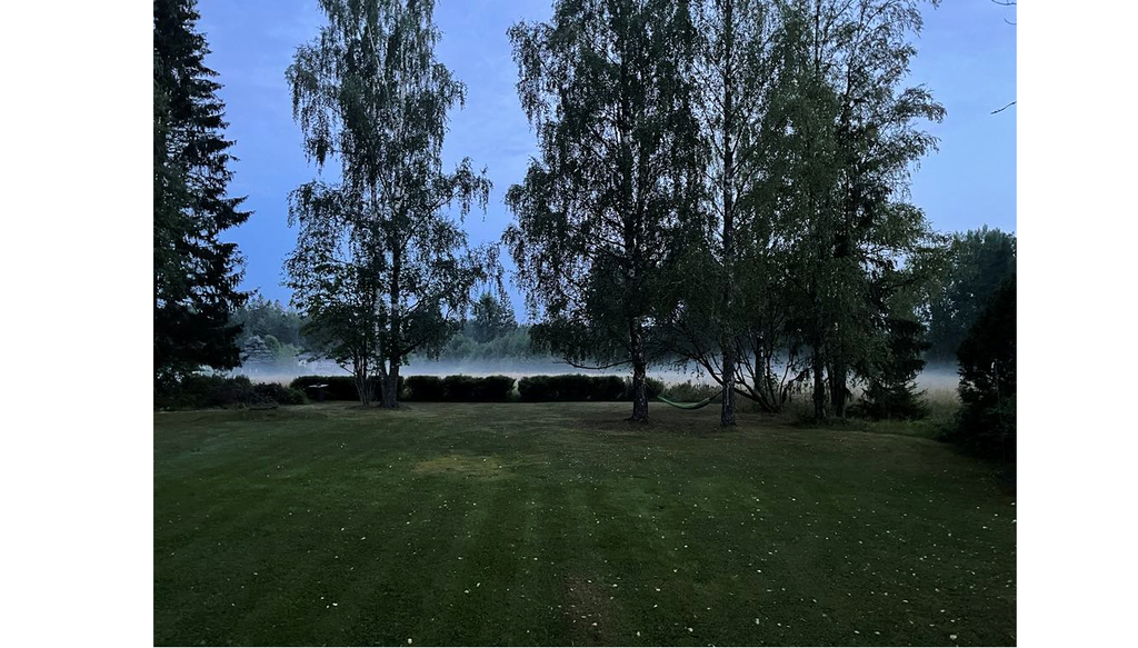 Säljarens sommarbild