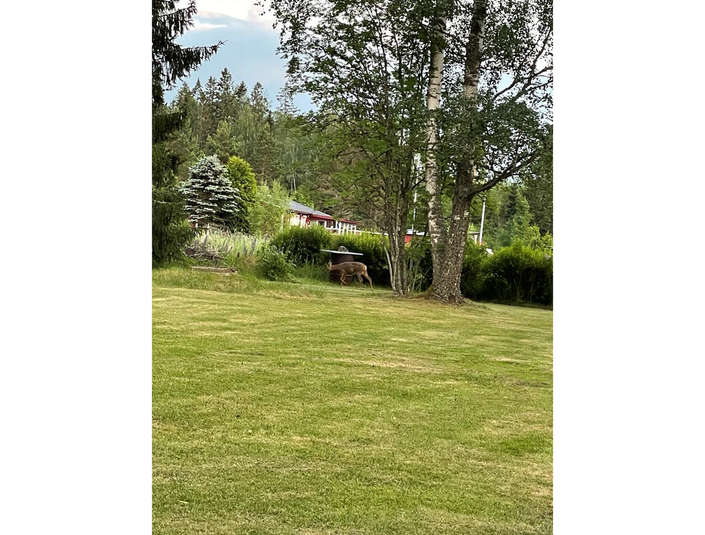 Säljarens sommarbild
