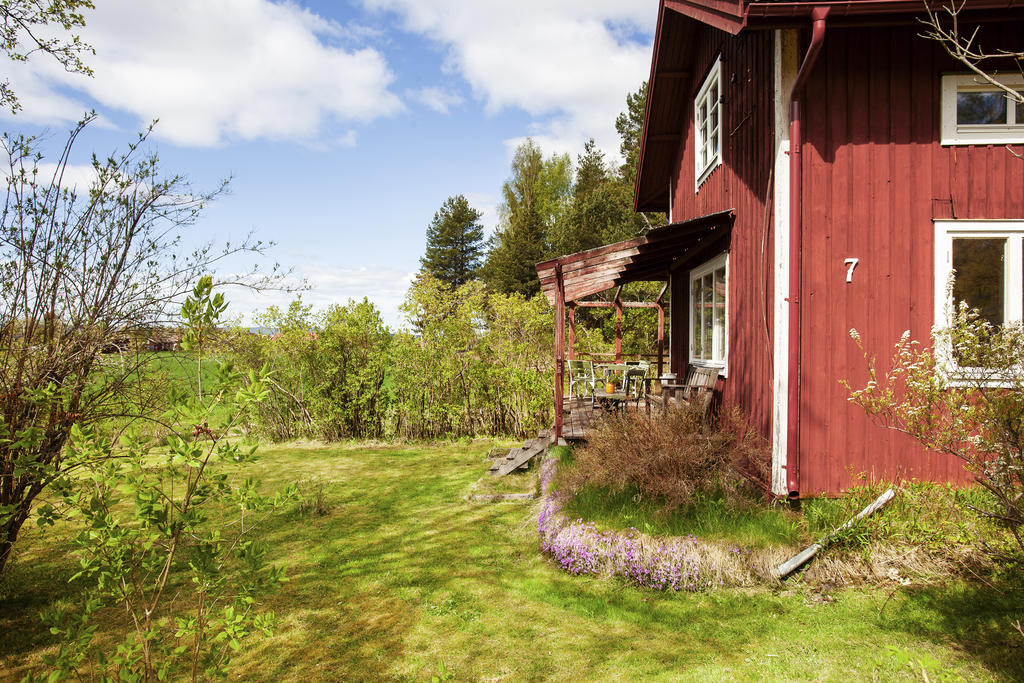 En plats mitt i grönskan